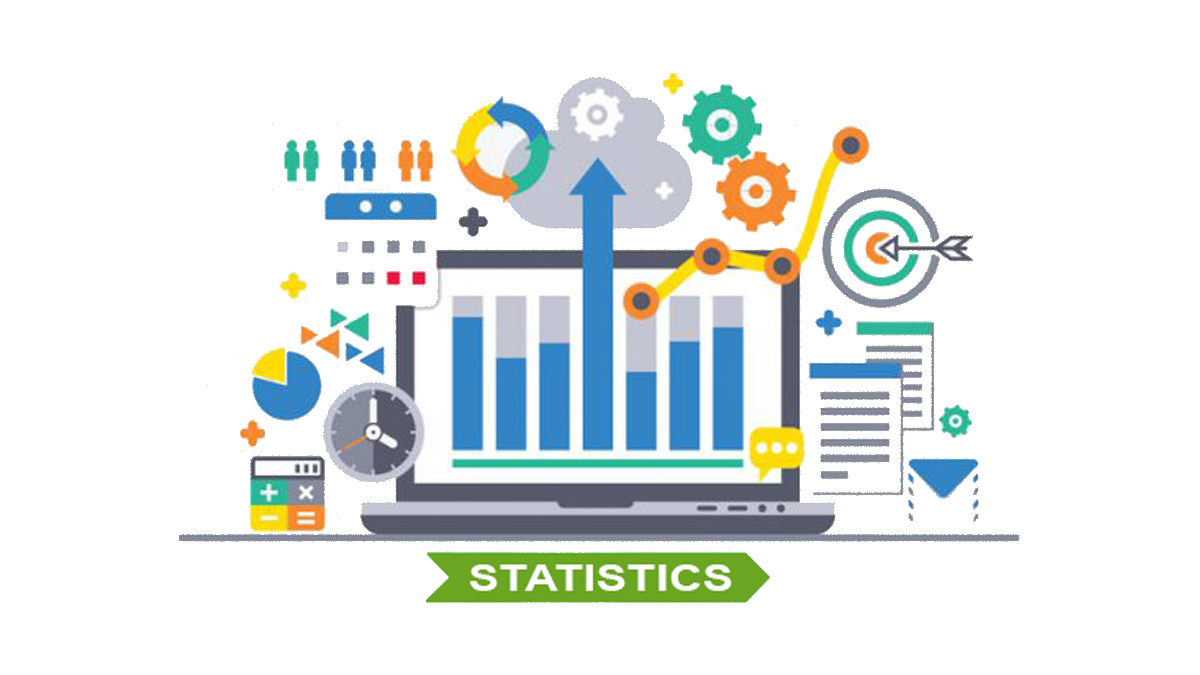 Web Reports & Statistics by Datacube